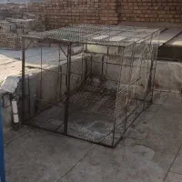 لانه توری .کبوتر.مرغ وخروس‌
