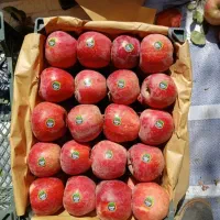 apple|حراج|میاندوآب, |دیوار