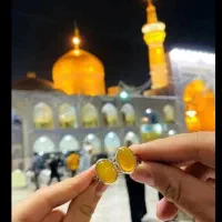 سفر خاص به مشهد با خدمات VIP رو از دست نده /