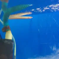 ماهی مدیا شیشه بخاری آکواریوم