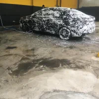 نیروی کار کارواش
