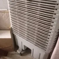 یک عددکولر آبی ایستاده درحدنو