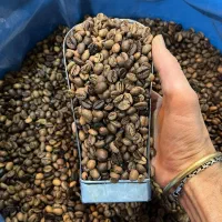 قهوه گلد برزیل Cocam و انواع میکس|عمدهفروشی|شیراز, گلکوب|دیوار