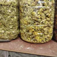 ا آویشن ،پونه|خوردنی و آشامیدنی|تهران, مخصوص|دیوار