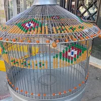 قفس پرنده|لوازم جانبی حیوانات|فردیس, سرحدی|دیوار