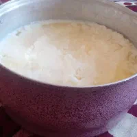 روغن حیوانی