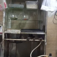 فرساندویچی درحد