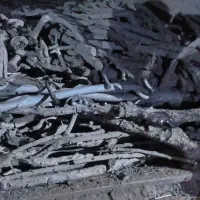 ذغال کبابی قلم بدون خاک|عمدهفروشی|رباطکریم, وهن آباد|دیوار