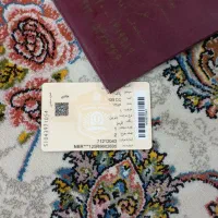 مدارک گمشده