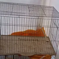 قفس|لوازم جانبی حیوانات|اصفهان, گلزار|دیوار