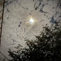 خونه اجاره ای