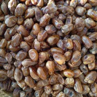 خرمای کبکاب درجه یک
