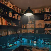 لوستر و آویز|لوستر و چراغ آویز|بیرجند, |دیوار