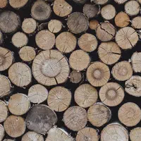 هیزم شومینه ای|بخاری، هیتر، شومینه|کلاردشت, |دیوار