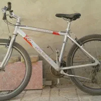 دوچرخه رالی