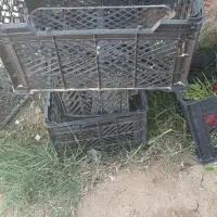 سبد16کیلویی