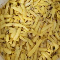 فروش سیب زمینی خوراک دام