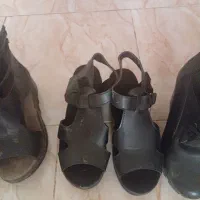 کفش زنانه|کیف، کفش، کمربند|پیشوا, |دیوار