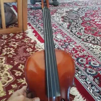 ویلن تی اف|ویولن|شهرکرد, |دیوار