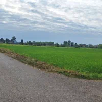 فروش ۲۱۰۰ متر زمین در آلمان|فروش زمین و ملک کلنگی|رشت, پستک|دیوار