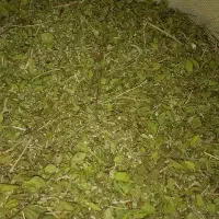 آویشن کوهی کیلویی ۲۵۰۰