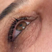 شنیون و لیفت مژه و ابرو|خدمات آرایشگری و زیبایی|جهرم, |دیوار