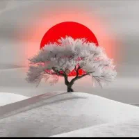 اجتماعی