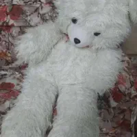 عروسک شاسخین بزرگ یک مترو ده سانت پشمالو|اسباب‌‌بازی|رضوانشهر, |دیوار