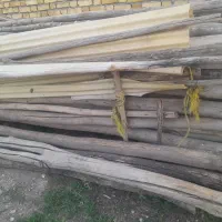 خرید چوب|خدمات باغبانی و درختکاری|کوزران, |دیوار