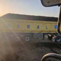 کودگاوشیری پوسیده|خدمات باغبانی و درختکاری|رباط‌کریم, رباط‌کریم|دیوار