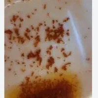 فال تاروت .فال قهوه .فال شمع.فال آینه|خدمات پذیرایی، مراسم|سقز, |دیوار