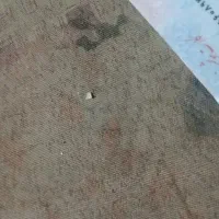 کارت ملی پیدا شده