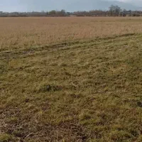 زمین کشاورزی سنتی۷۶۰۰متر جاده دار در حومه رودسر