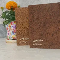 کتاب حیات یحیی