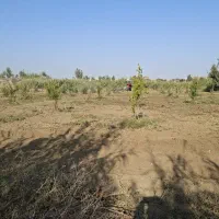 زمین برای کشت‌محصول آبی