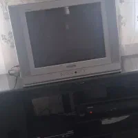 تلویزیون
