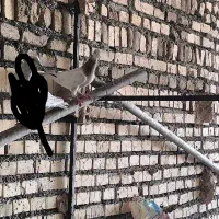 کفتر|پرنده|سبزوار, اسلام آباد|دیوار