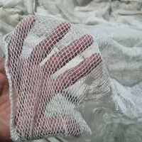 تور ماهیگیری