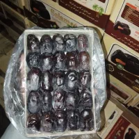 خرمای مضافتی (رطب صادراتی)