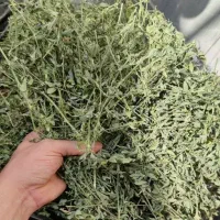 یونجه درجه 1