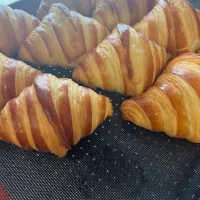 قناد و بیکر با سابقه