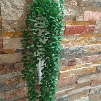 انواع ریسه ها و شمشاد سبز و گلدان|گل مصنوعی|اهواز, پادادشهر|دیوار