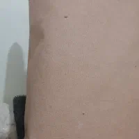 موکت در حد نو