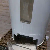 جا برنجی لیمون