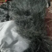 وسیله خانه نو میباشد|قوری، کتری، قهوهساز دستی|بروجرد, |دیوار