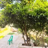 فروش-زمین-با-شرایط-عالی