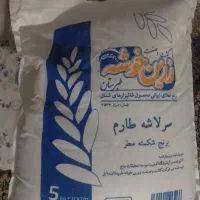 برنج سرلاشه طارم زرین خوشه ۵ گیلویی