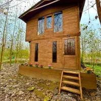 تجربه-زندگی-در-محیط-آبی-جنگلی-جزیره-ای