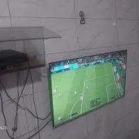 ۲عددتلویزون ۴۳ سونیا