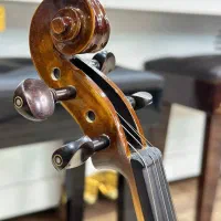 ویولن|ویولن|بندرعباس, |دیوار